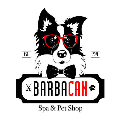 Logo Barbacan